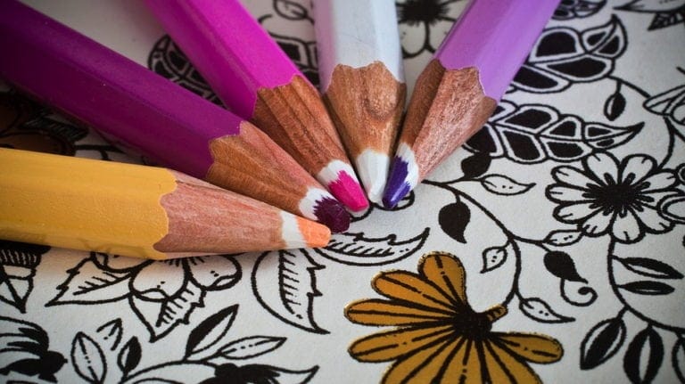 Adult Coloring Book With Pencils