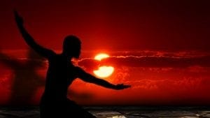 Martial arts silhouette