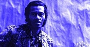 Chuck Berry Tinted Public Domain