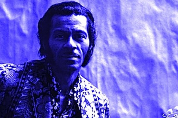 Chuck Berry Tinted Public Domain