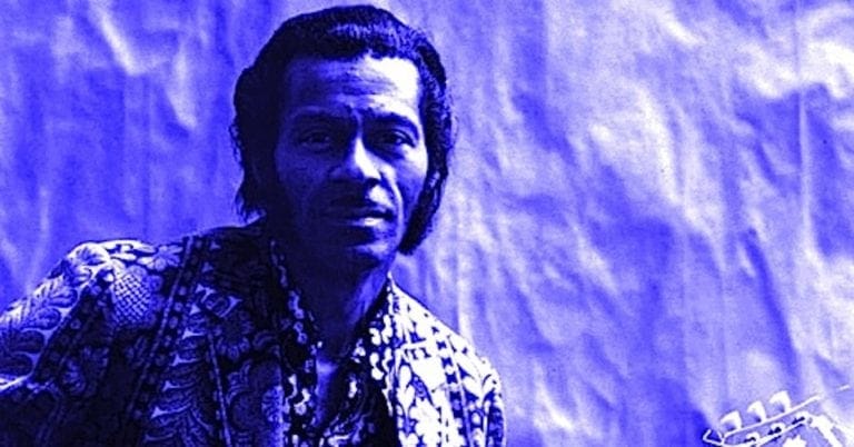 Chuck Berry Tinted Public Domain