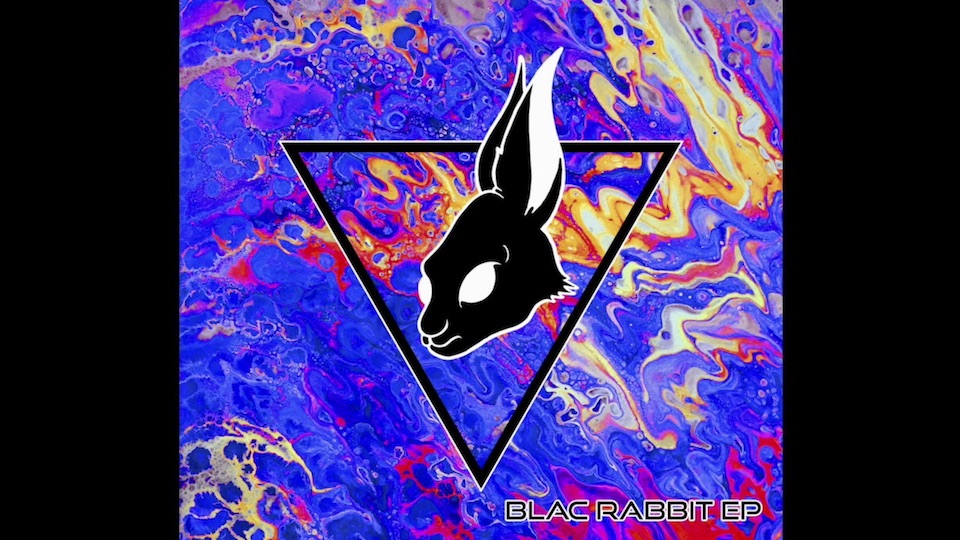 blac rabbit