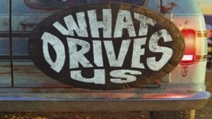 what drives us